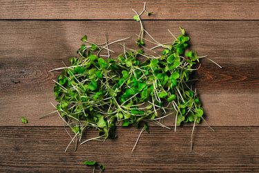 Broccoli Microgreen 1 oz